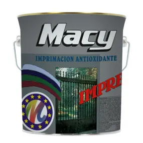 Antioxidante profesional gris 4 l MACY